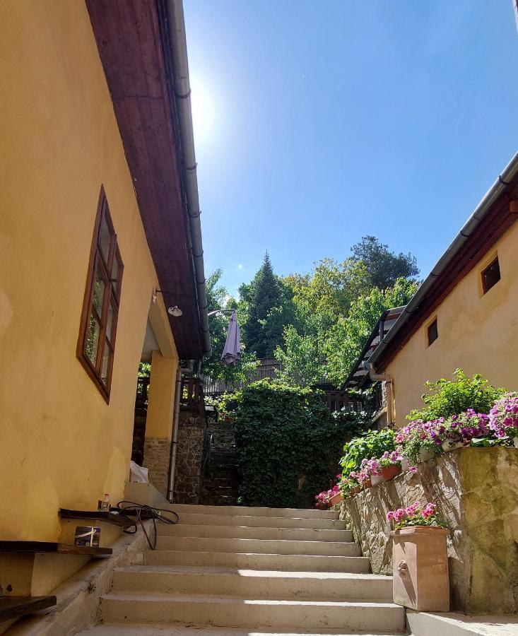 Casa Cojo Apartment Sighisoara Exterior photo